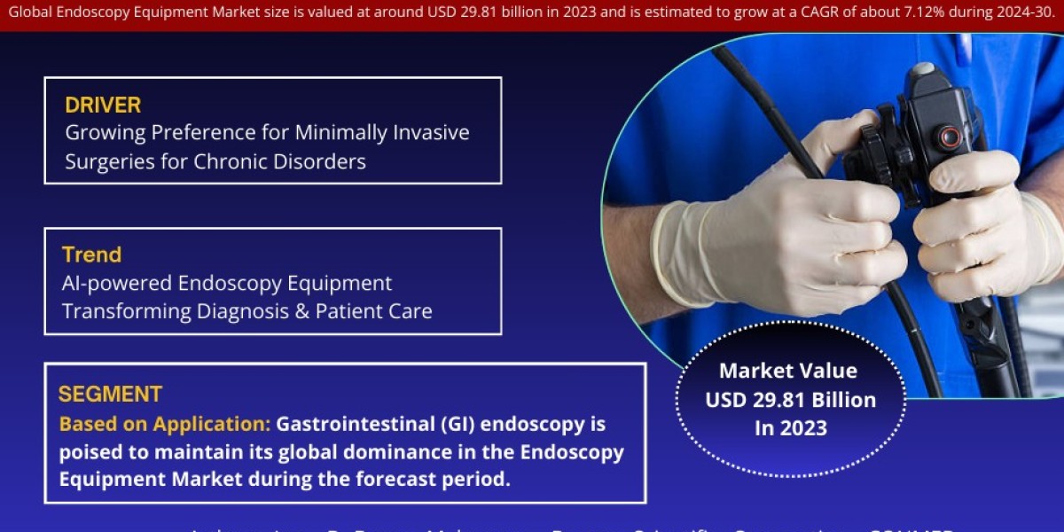 Endoscopy Equipment Market Analysis 2030 - Unveiling Size, Share, Growth, Trends, and Industry Insights