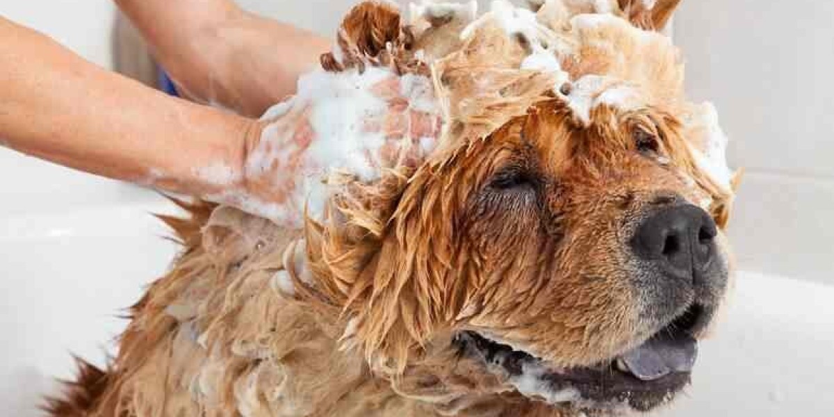 Discover the Benefits of Professional Dog Grooming Services