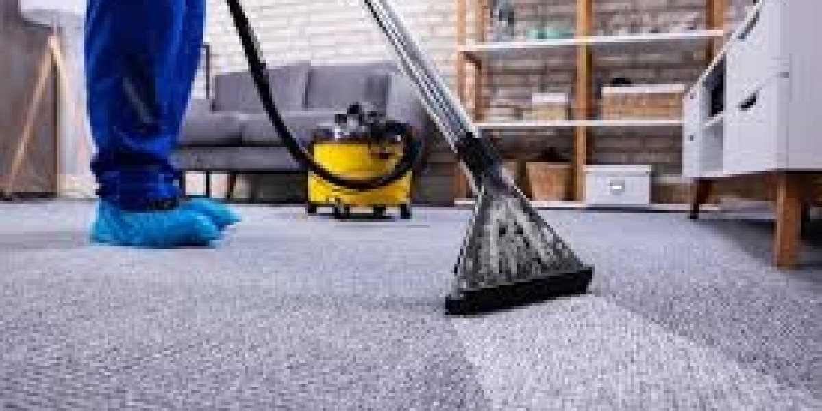 How Professional Carpet Cleaning Enhances