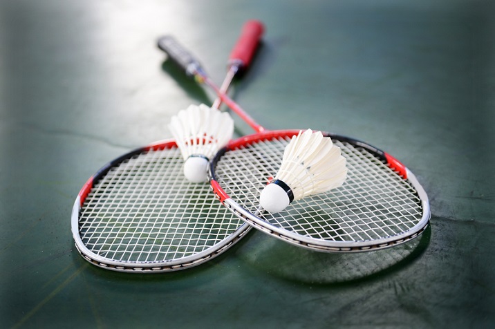 Fantasy Badminton: Best Apps and Strategies – NextBiz