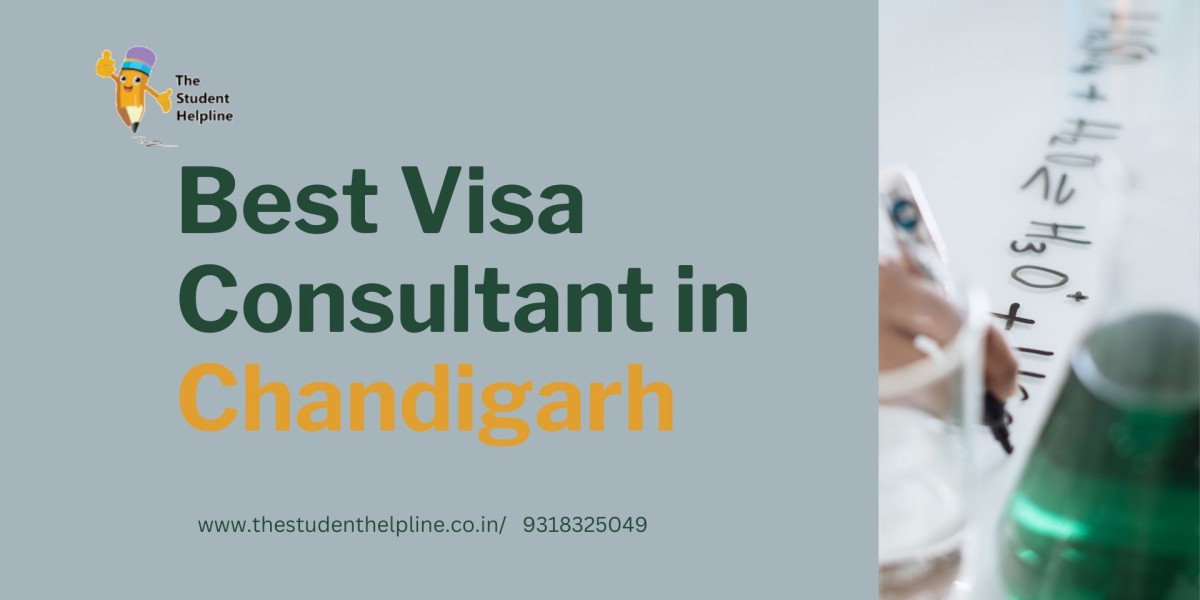 Best Visa Consultant in Chandigarh