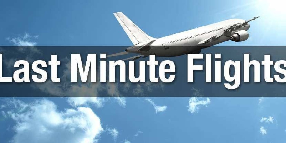 Top Tips for Finding Cheap Last Minute Com Flights