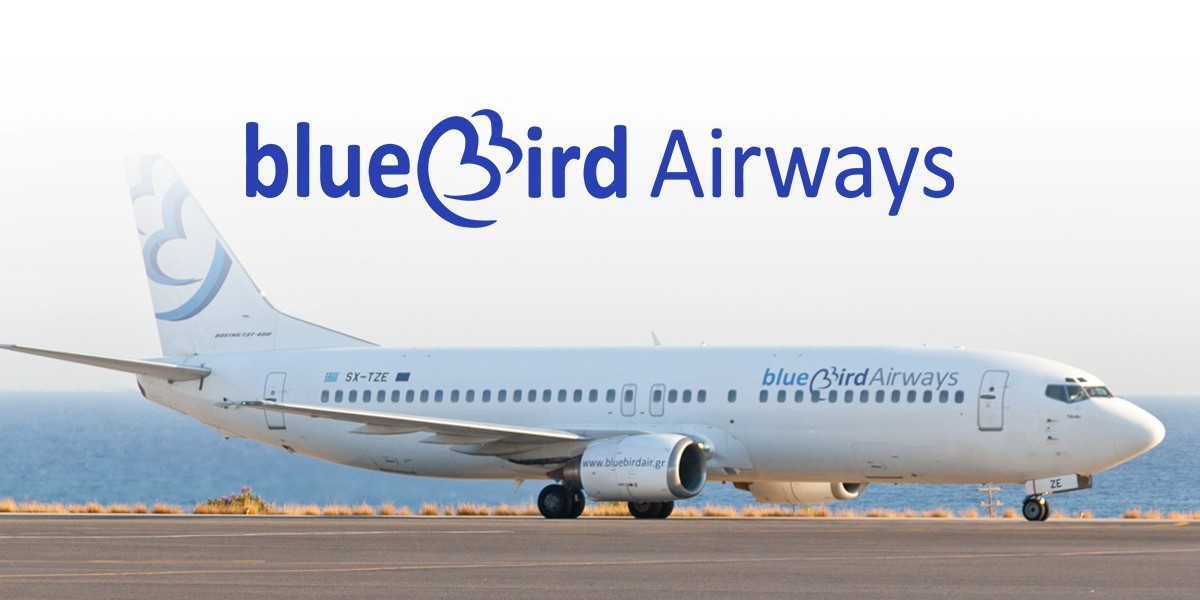 What are the check-in options available for Blue Bird Airways?