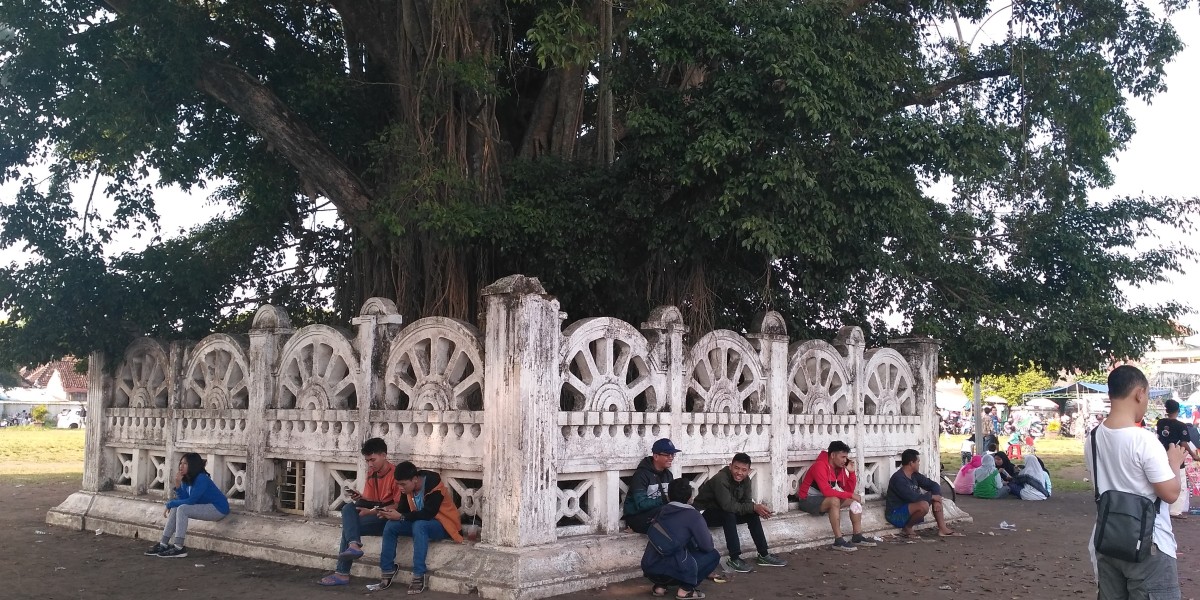 5 Aktivitas Seru di Alun-Alun Kidul Jogja