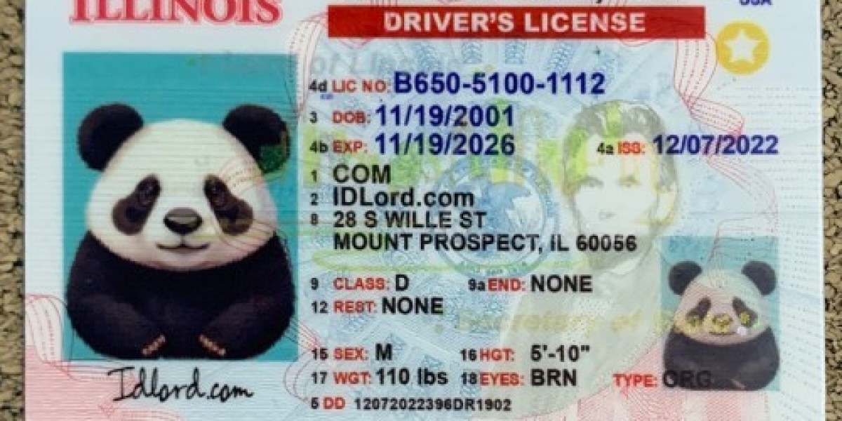 The Illinois ID Dilemma Why a High-Quality Fake ID Can Be Your Ticket to Freedom