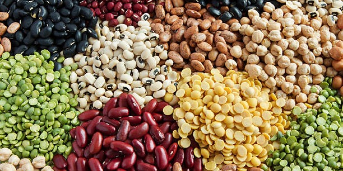 Middle East and Africa Vegetable Seed Market Share, Growth, Trends Analysis, Business Opportunities and Future Outlook 2