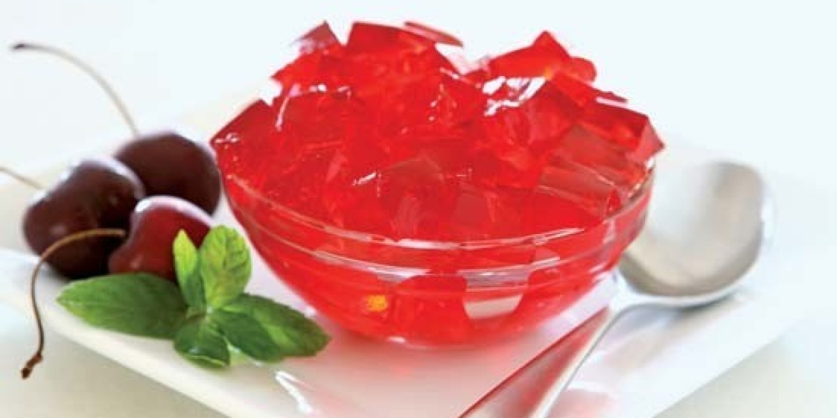 Gelatin Manufacturing Plant Cost Report 2024 by IMARC Group