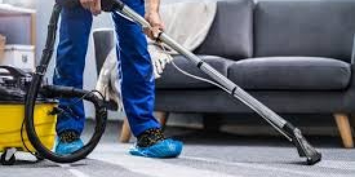 Elevate Home Aesthetics with Expert Carpet Care and Cleaning