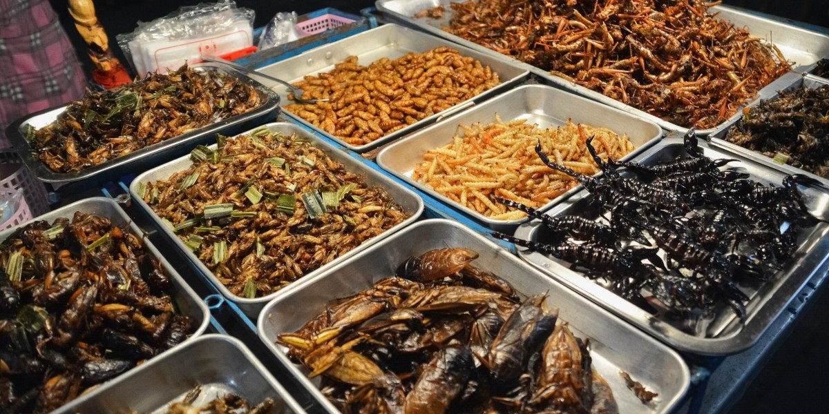 Edible Insects Market Growth, Share, Trends Analysis, Demand, Business Opportunity and Forecast 2032