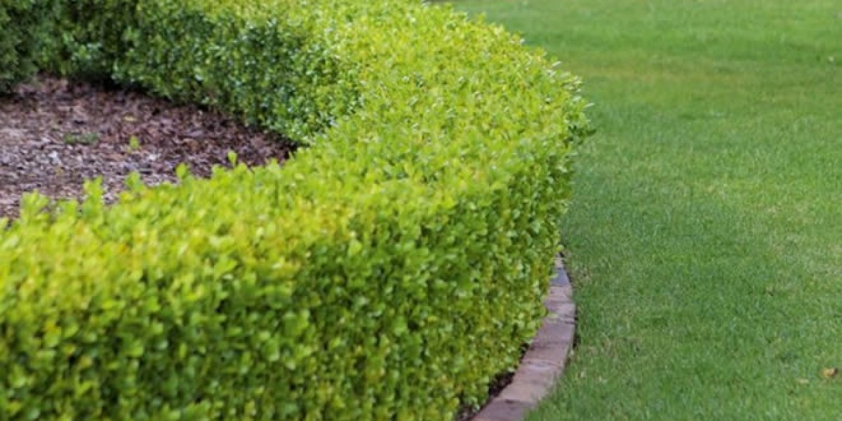 Evergreen Sprinkler and Landscaping Services