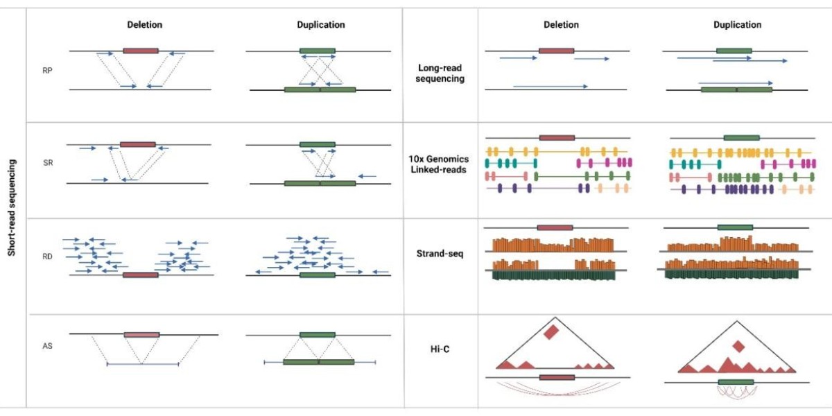 Variation Analysis