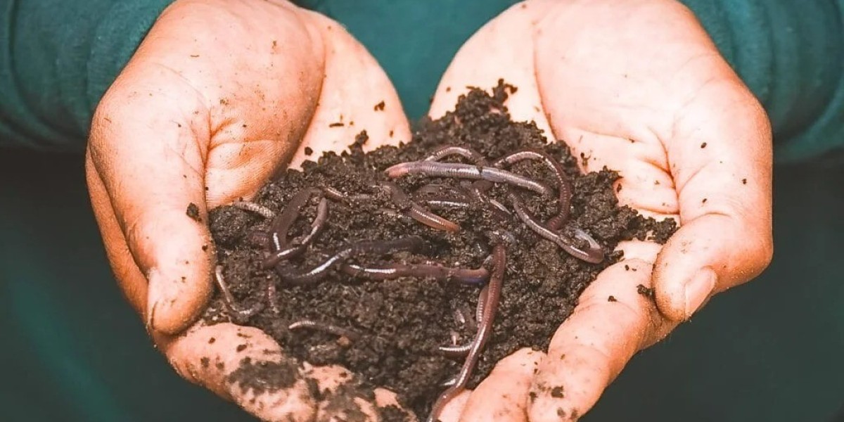 Report on Vermicompost Manufacturing Plant Setup with Cost Analysis and Requirements