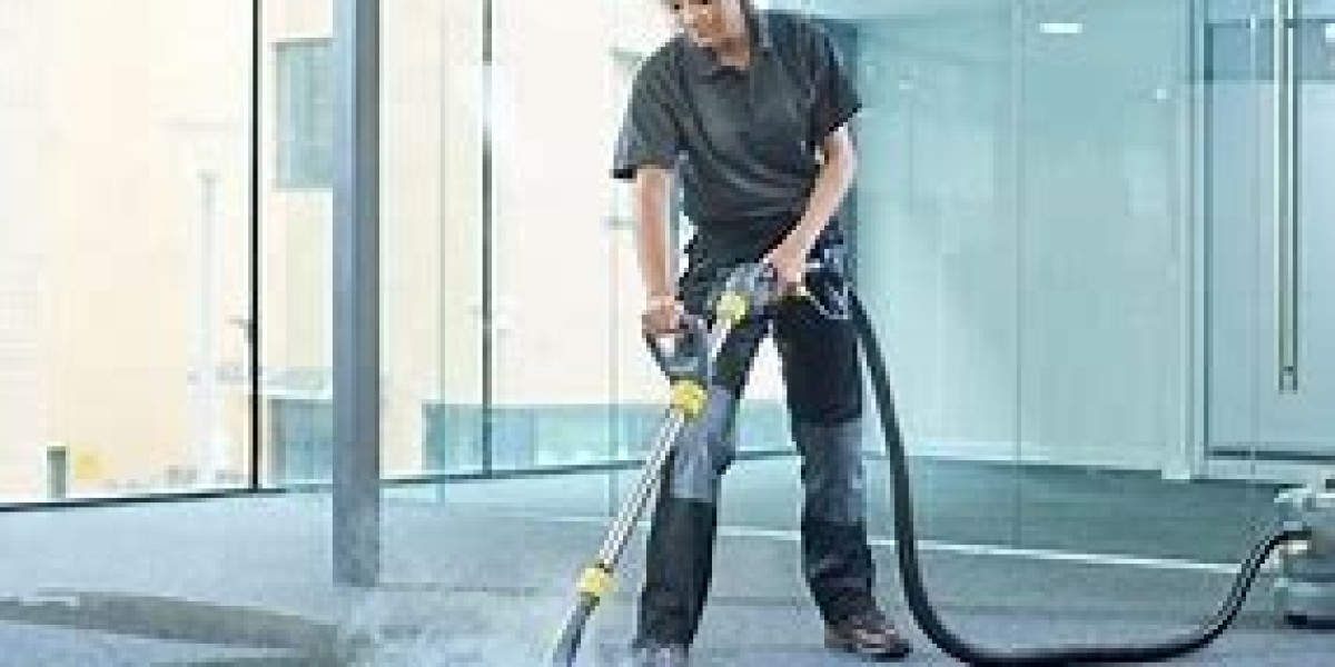 Professional Carpet Cleaning: The Key to Preserving Your Home’s Visual Appeal