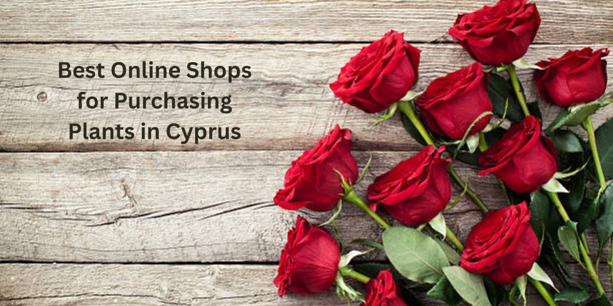 Best Online Shops for Purchasing Plants in Cyprus