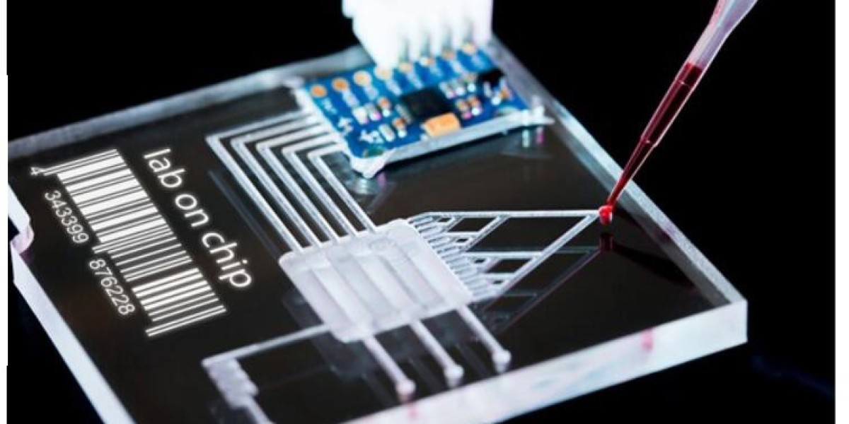 From Electrophoresis to High-Throughput Screening: The Journey of Microfluidic Chips