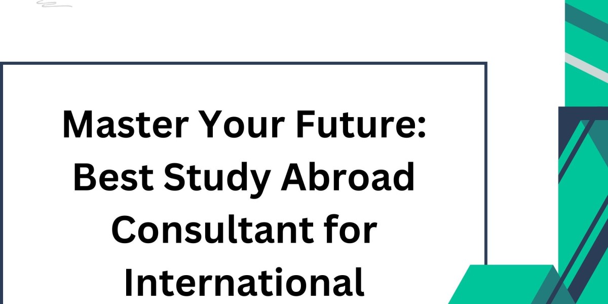 Master Your Future: Best Study Abroad Consultant for International Admissions