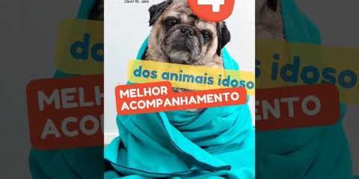 Entendendo a Pressão Arterial Ideal para Seu Cão: O Que Você Precisa Saber