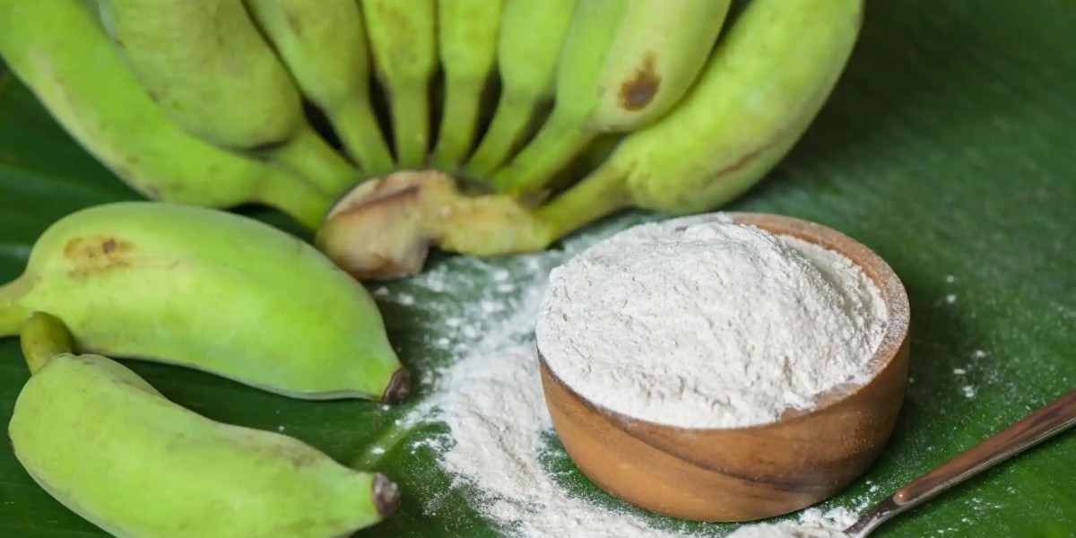 Machinery Requirements for Setting Up a Banana Powder Manufacturing Plant