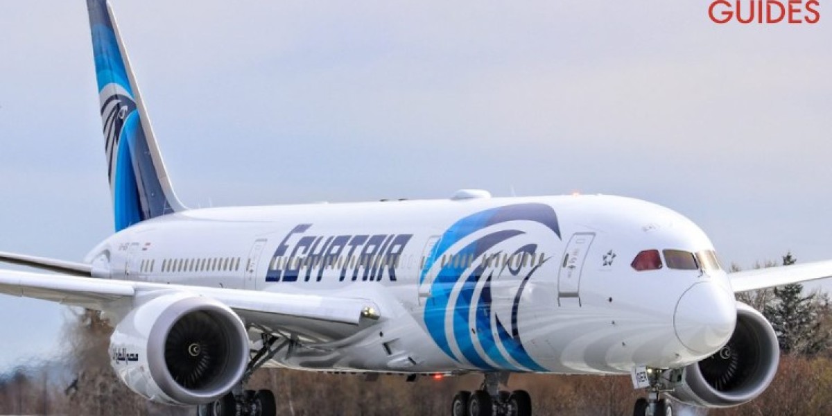 Comprehensive Guide to the EgyptAir JFK Terminal