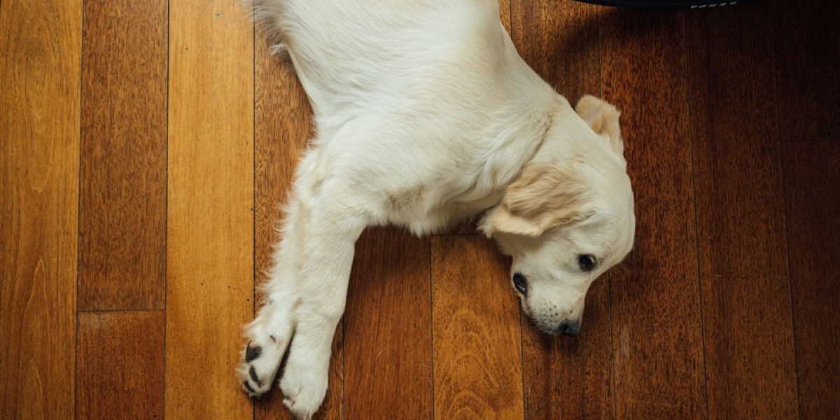 How SPC Flooring Helped Me Create a Pet-Friendly Home