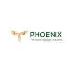 Phoenix Nursing Institute