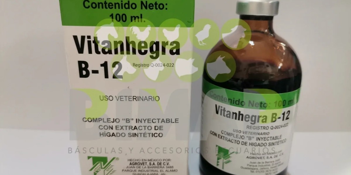 La importancia de la vitamina B12 en el aumento de peso