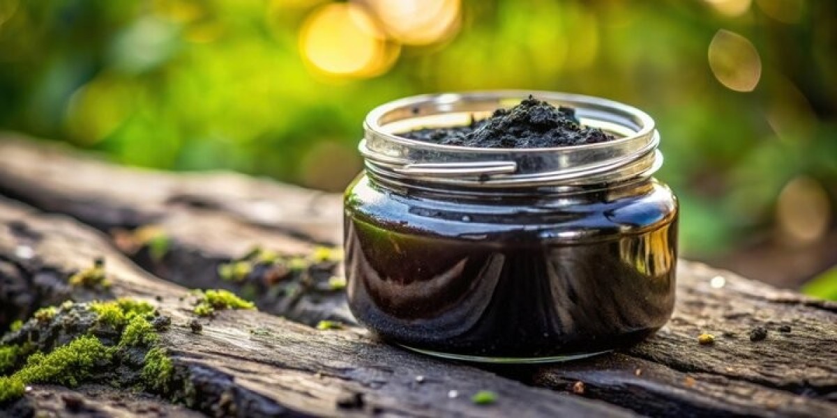 Revitalize Your Energy Naturally with Pure Himalayan Shilajit