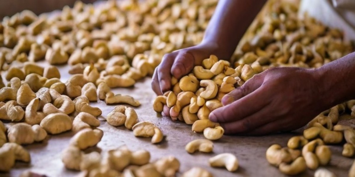 Cashew Processing Plant Report 2024: Project Details, Machinery Requirements and Cost Involved