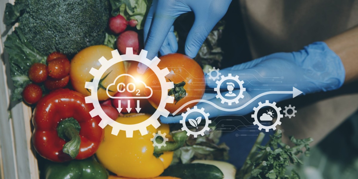 Food Certification Market Share, Global Industry Analysis Report 2023-2032