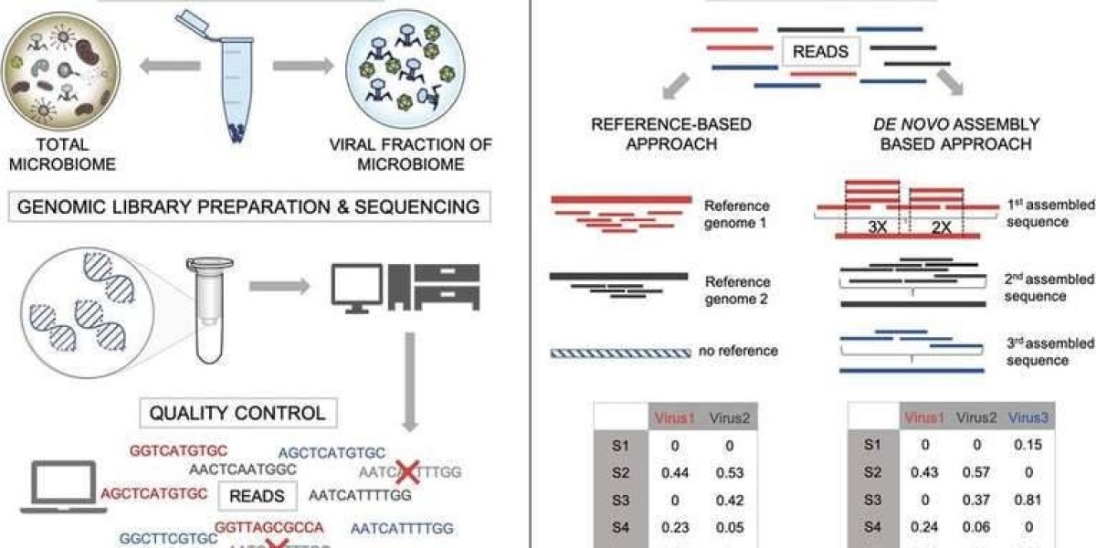 Viruses and Virome Sequencing