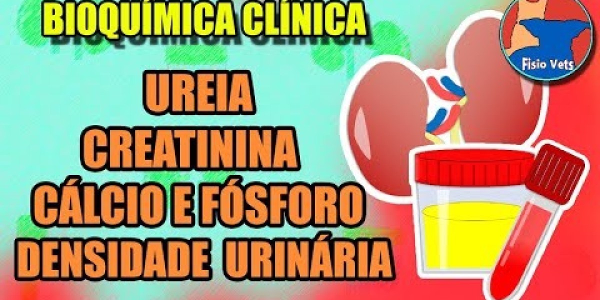 Vacinas para Pets: O Que Você Precisa Saber Sobre os Custos e Benefícios