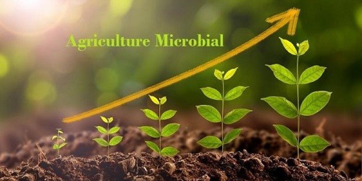 Agriculture Microbial Market | Industry Outlook Research Report 2023-2032 By Value Market Research