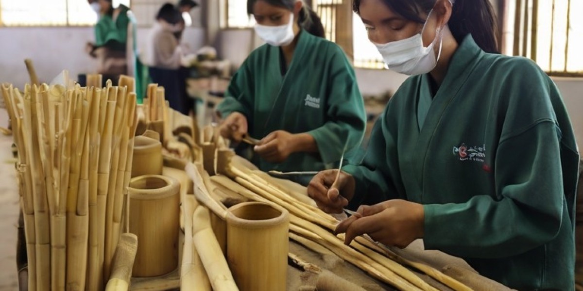 Bamboo Toothbrush Manufacturing Plant Project Report 2024: Setup Cost, Machinery Requirements and Raw Materials