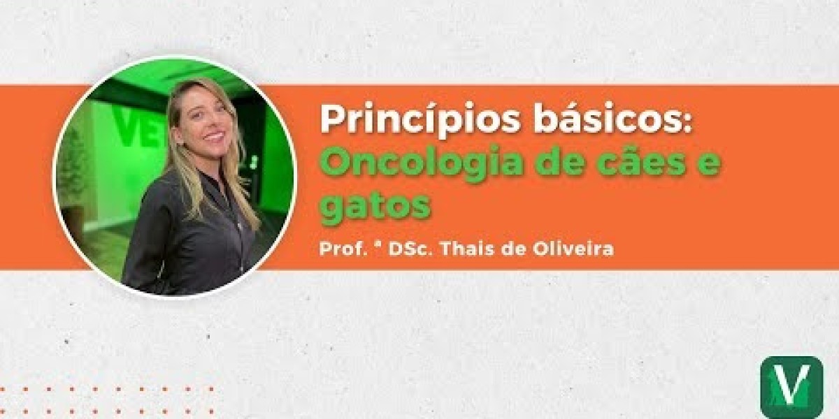 O Custo do Eletrocardiograma em Cães: O Que Esperar e Como se Preparar