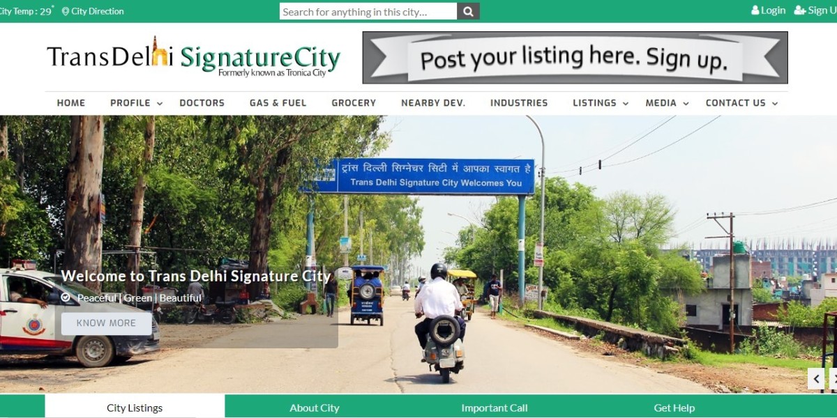 Overview of TransDelhisignaturecity.com