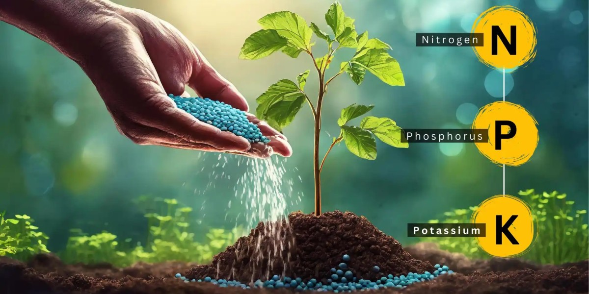 NPK Fertilizer Market | Industry Outlook Research Report 2023-2032 By Value Market Research