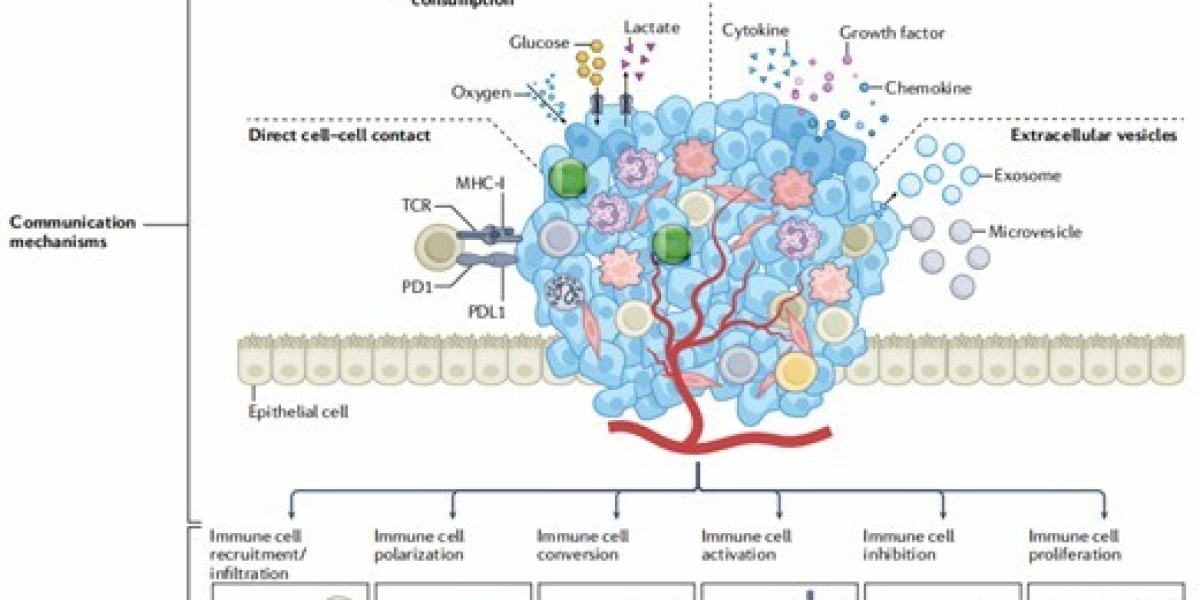 Alfa Cytology Announces Cancer Diagnostic Biomarker Development Services to Enhance Precision in Oncology Research