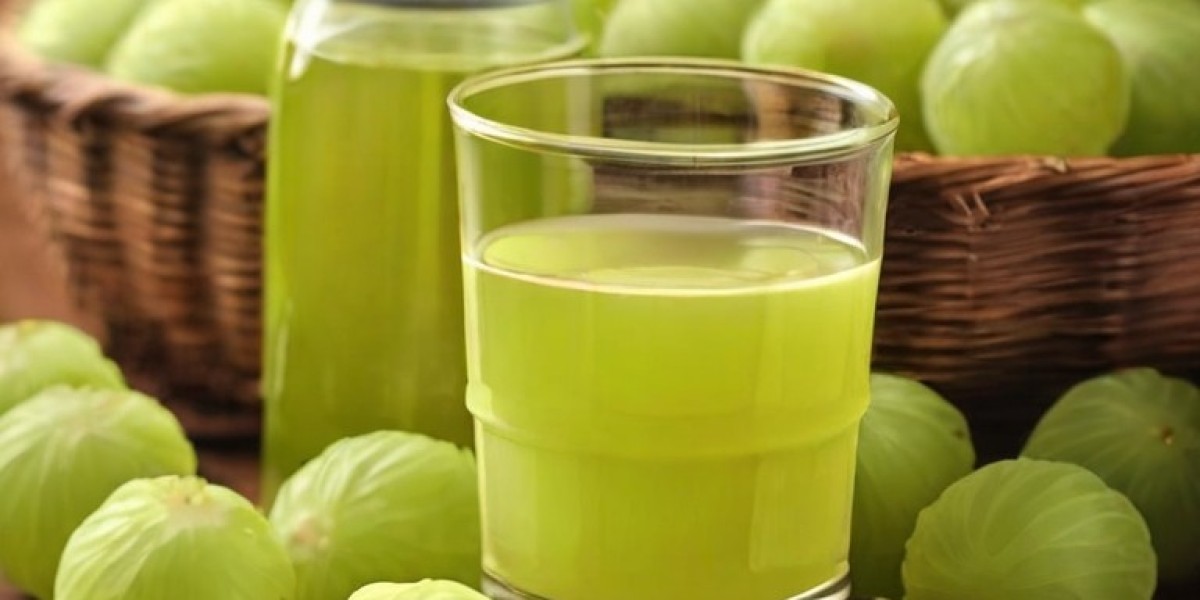 Amla juice Manufacturing Plant Report 2024: Project Details, Machinery Requirements and Cost Involved