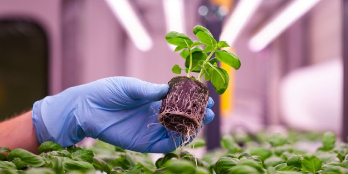 Global Hydroponic Substrate Market 2023 | Industry Outlook & Future Forecast Report Till 2032