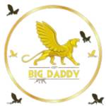 bigdaddygame