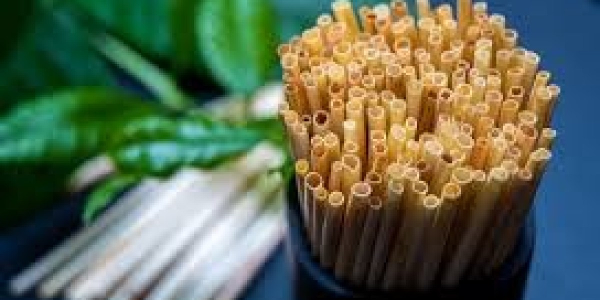 Eco Friendly Straws Market | Industry Outlook Research Report 2023-2032 By Value Market Research