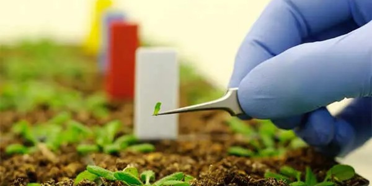 Agricultural Nanotechnology Market 2023-2032 | Global Industry Research Report By Value Market Research