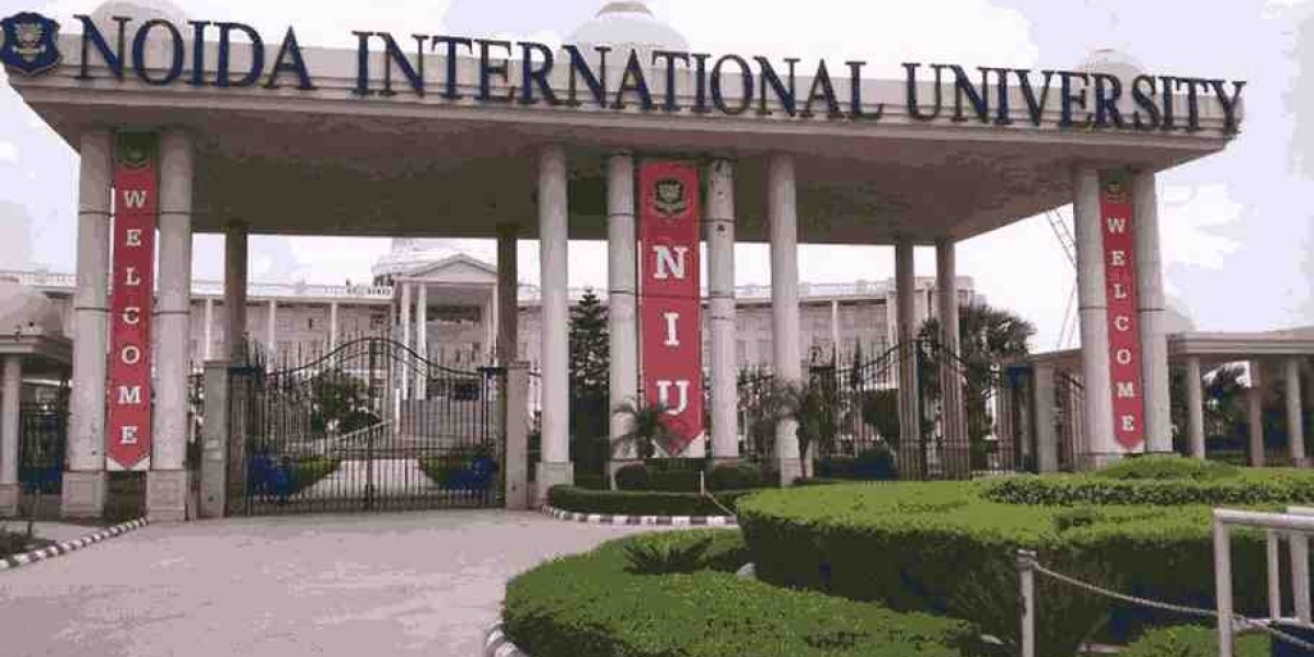 Noida International University’s Ranking Growth and Its Impact on Education