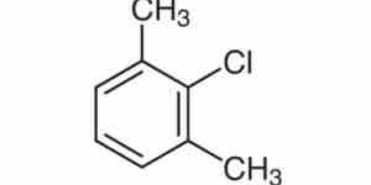 Meta-Xylene Industry Outlook: Market Share, Size & Growth Analysis 2024-2032 – The Report Cube