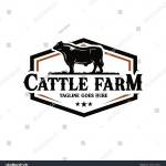 carolinacattle company