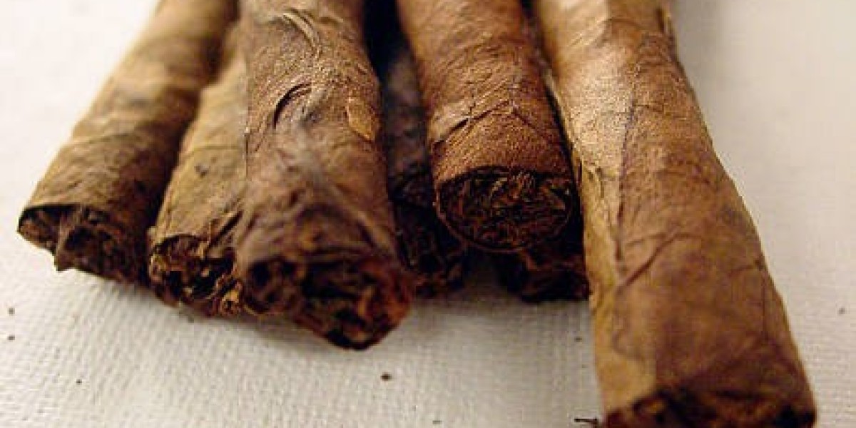 Blunt Wrap Market Sees Rising Demand Amid Growing Popularity of Alternative Smoking Products