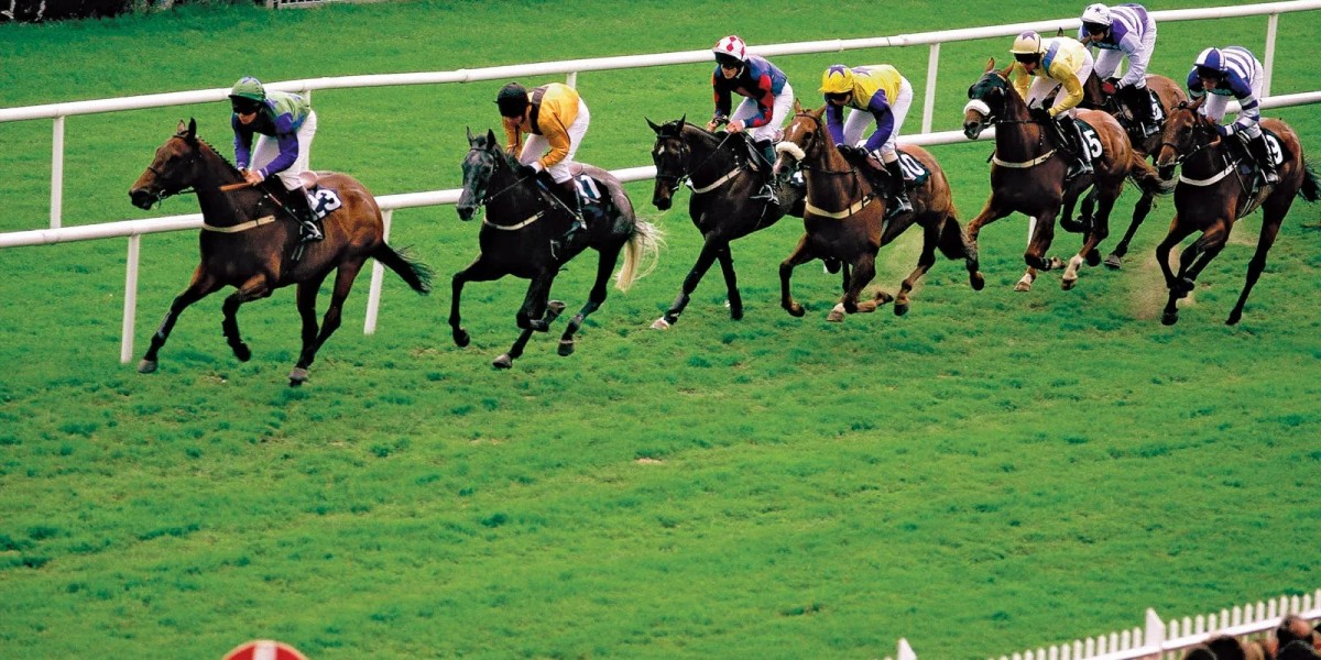 Horse Racing Market Share, Global Industry Analysis Report 2023-2032