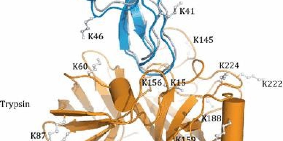 Advantages and Process of Chemical Crosslinking Mass Spectrometry