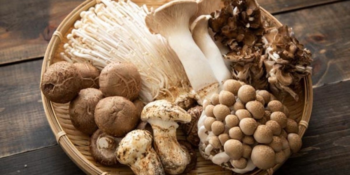 Mushroom Market Industry Demand Up with Surge in Plant-Based Diets