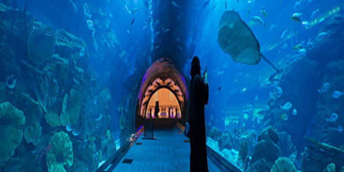 Top Things You Didn’t Know About Dubai Mall Aquarium